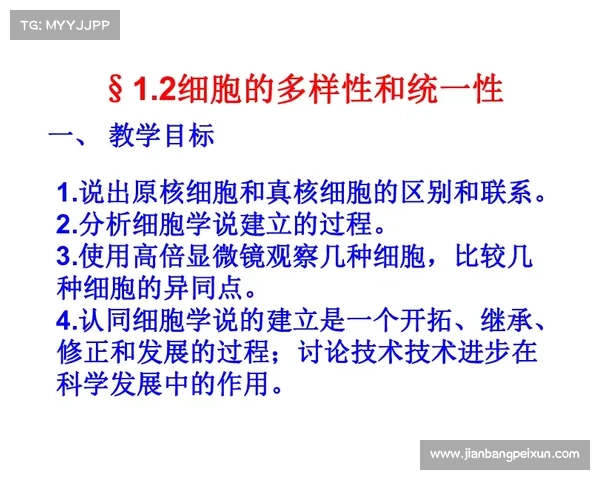 裁判执法尺度统一性与身体对抗容忍度提升的理论与实践探讨 裁判执法尺度统一性与身体对抗容忍度提升的理论与实践探讨