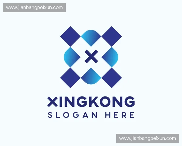 解读xingkong中国官网